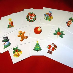 Festive Place Cards for holders Mixed