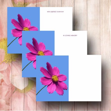 Magenta Cosmos Flower Florist Card