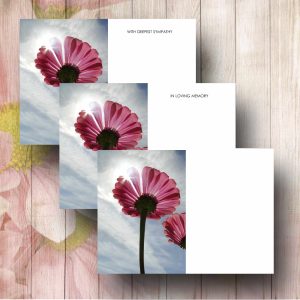 Red Daisies Florist Card