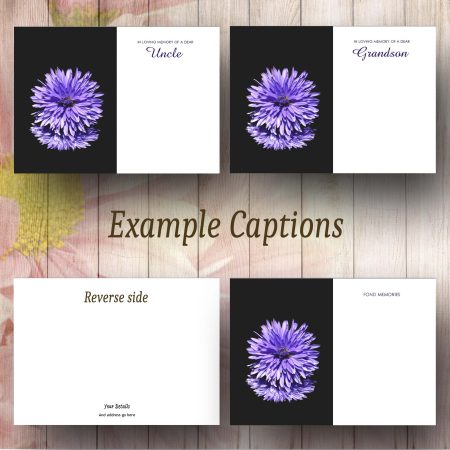 Mauve Dhalia Text Examples