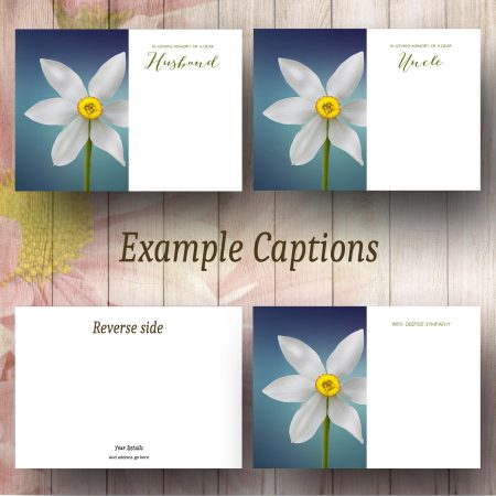 Delicate Narcissus Flowers Text Example