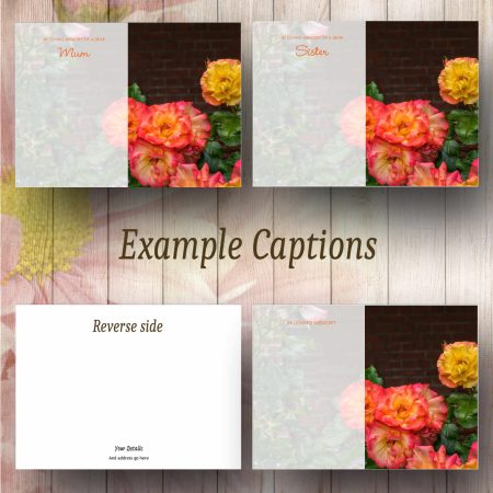 Blush Roses Funeral Florist Message Card - Image 2
