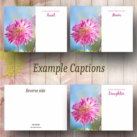 Pink Tipped Flower Text Example Florist Message Card