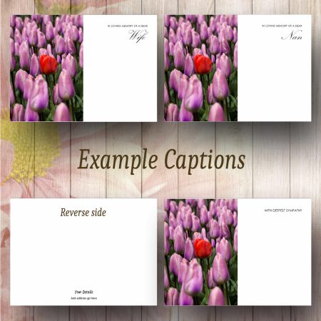 Tulip Field Funeral Florist Message Card - Image 2