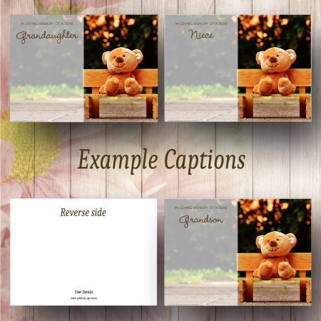 Bench Teddy Text_Example