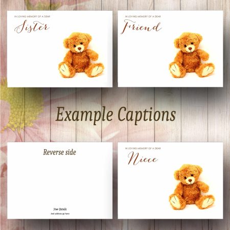 Cute Teddy Text Example