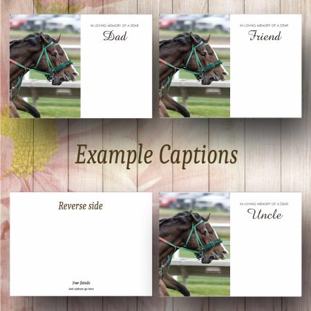 Race Horses Text Example