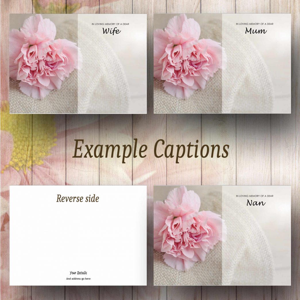 Delicate Pink Carnation Florist Funeral Cards Large Size