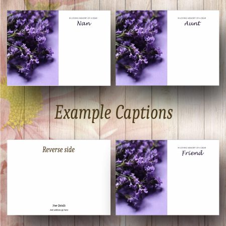 Lavender Flowers Text Example
