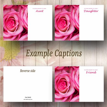 Pink Roses Text Example
