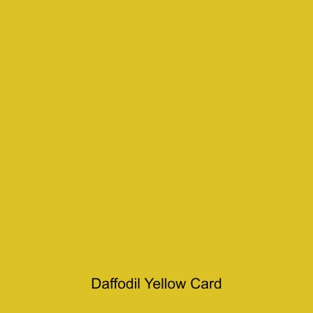 Daffodil Yellow coloured card